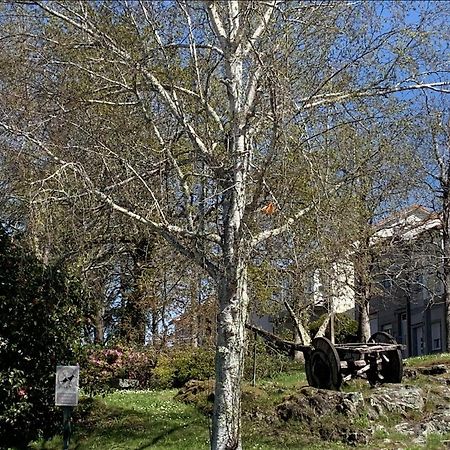 Campo De Estrellas Apartman Santiago de Compostela Kültér fotó